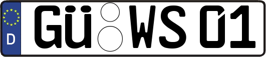 GÜ-WS01