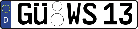GÜ-WS13