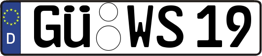 GÜ-WS19
