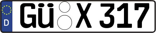 GÜ-X317
