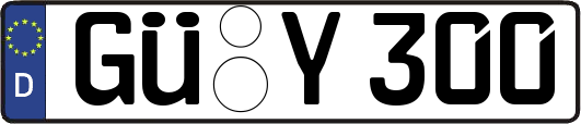 GÜ-Y300