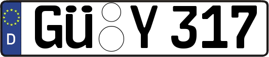 GÜ-Y317