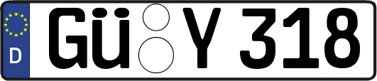 GÜ-Y318