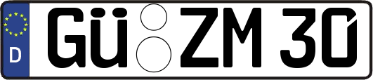 GÜ-ZM30