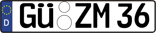 GÜ-ZM36