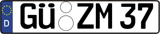 GÜ-ZM37