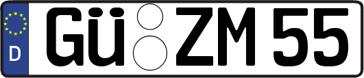 GÜ-ZM55