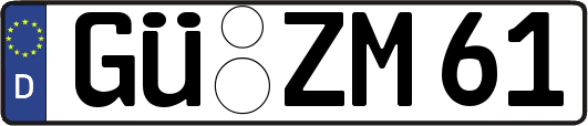 GÜ-ZM61