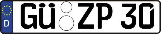 GÜ-ZP30