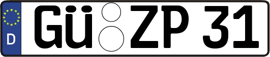 GÜ-ZP31