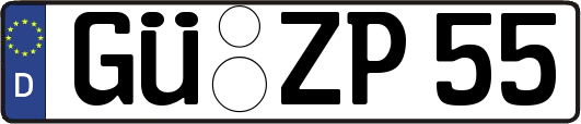 GÜ-ZP55