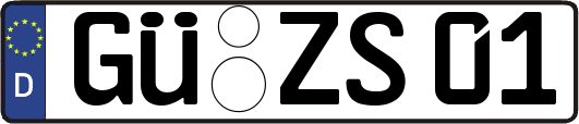 GÜ-ZS01