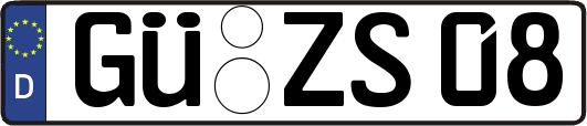GÜ-ZS08