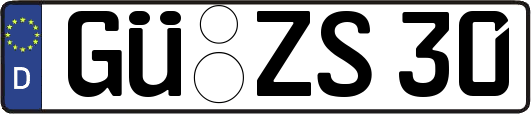 GÜ-ZS30