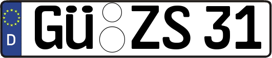 GÜ-ZS31