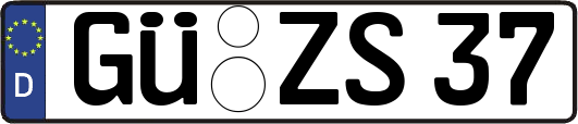 GÜ-ZS37