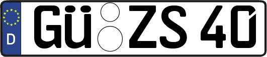 GÜ-ZS40