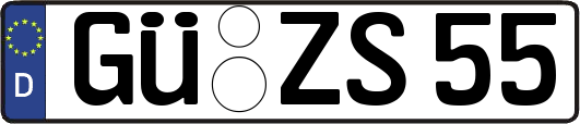 GÜ-ZS55