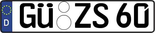 GÜ-ZS60