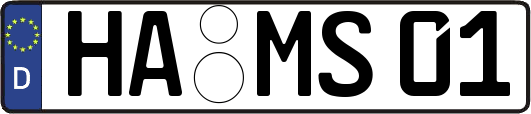 HA-MS01