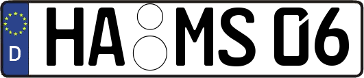 HA-MS06
