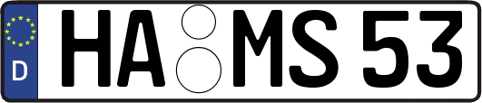 HA-MS53
