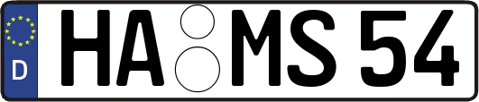 HA-MS54