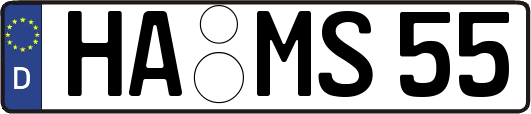HA-MS55