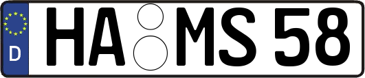 HA-MS58
