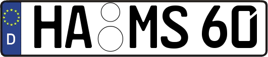 HA-MS60
