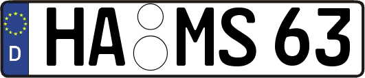 HA-MS63