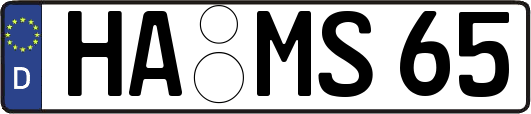 HA-MS65