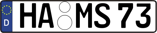 HA-MS73