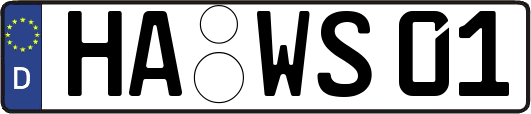 HA-WS01
