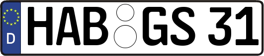 HAB-GS31