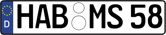 HAB-MS58