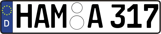 HAM-A317