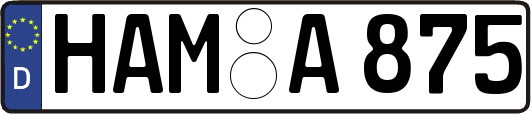 HAM-A875