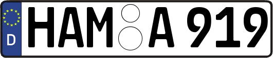 HAM-A919