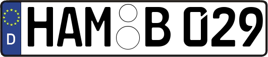 HAM-B029