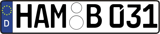 HAM-B031