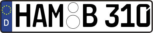 HAM-B310