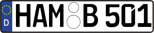 HAM-B501