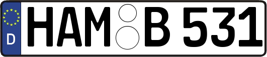 HAM-B531