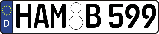 HAM-B599