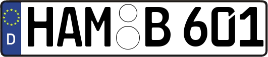 HAM-B601
