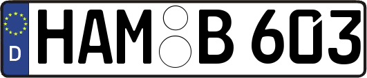 HAM-B603