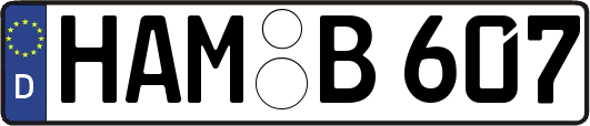 HAM-B607