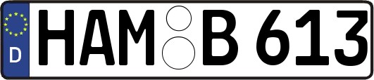 HAM-B613