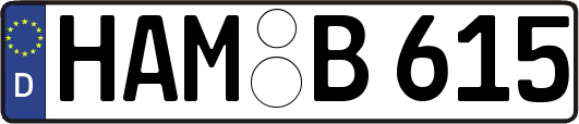HAM-B615